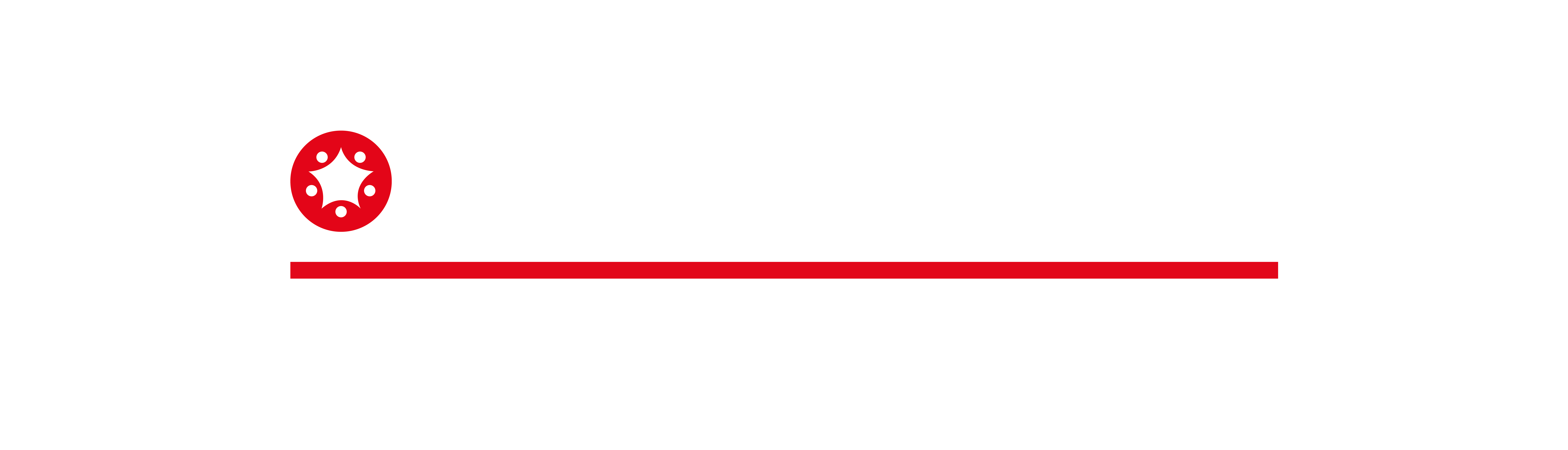 logo pienissimo bianco
